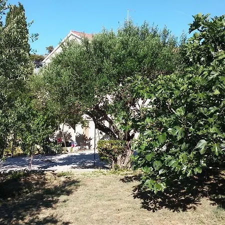 Guest house & Brna 3*