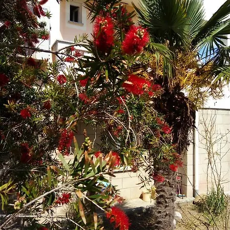 Guest house & Brna Banjol