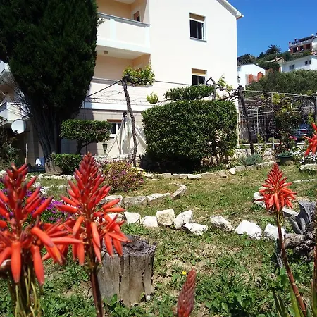 Guest house & Brna